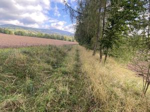 Prodej lesa, Lánov - Horní Lánov, 4009 m2