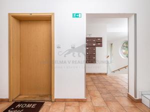 Prodej bytu 1+kk, Praha - Libeň, Braunerova, 41 m2