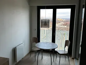 Pronájem bytu 1+kk, Praha - Žižkov, Olšanská, 36 m2