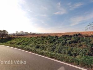 Prodej pole, Míškovice, 5697 m2