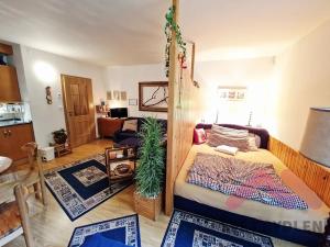 Prodej bytu 1+kk, Harrachov, 36 m2