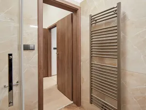 Pronájem bytu 1+kk, Brno, Masarykova, 28 m2