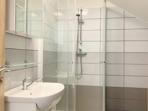 Pronájem bytu 2+kk, Opava - Předměstí, Mařádkova, 55 m2