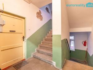 Prodej bytu 1+kk, Polevsko, 17 m2