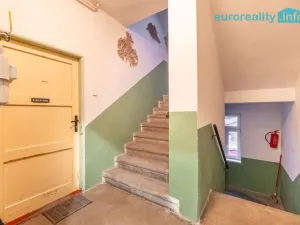 Prodej bytu 1+kk, Polevsko, 17 m2