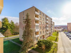 Prodej bytu 1+1, Nové Sedlo, Revoluční, 36 m2