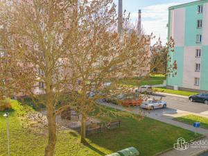 Prodej bytu 1+1, Nové Sedlo, Revoluční, 36 m2