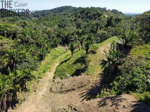 Prodej pozemku, Coxen Hole, Roatán, Honduras, 350 m2