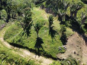 Prodej pozemku, Coxen Hole, Roatán, Honduras, 350 m2