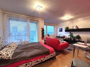 Pronájem bytu 1+kk, Brno, Dusíkova, 40 m2