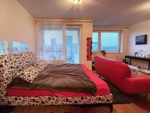 Pronájem bytu 1+kk, Brno, Dusíkova, 40 m2