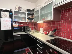 Pronájem bytu 1+kk, Brno, Dusíkova, 40 m2