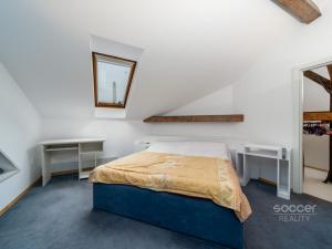 Pronájem bytu 4+kk, Praha - Holešovice, Dukelských hrdinů, 170 m2