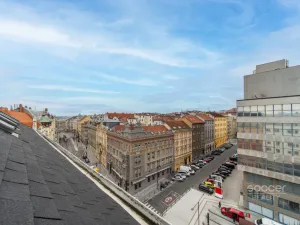 Pronájem bytu 4+kk, Praha - Holešovice, Dukelských hrdinů, 170 m2
