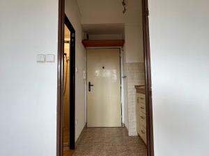 Pronájem bytu 1+kk, Ostrava, Krakovská, 19 m2