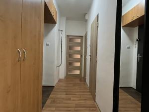 Pronájem bytu 2+kk, Ostrava - Poruba, Španielova, 55 m2