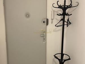 Prodej bytu 1+kk, Praha - Žižkov, Přemyslovská, 38 m2