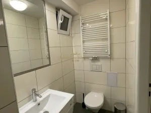 Prodej bytu 1+kk, Praha - Žižkov, Přemyslovská, 38 m2