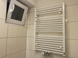 Prodej bytu 1+kk, Praha - Žižkov, Přemyslovská, 38 m2