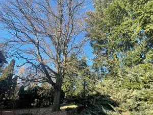 Pronájem rodinného domu, Zvole, 260 m2