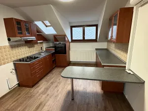 Pronájem bytu 1+kk, Karviná, Fryštátská, 48 m2