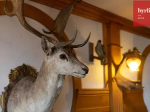 Prodej ubytování, Krnov - Pod Cvilínem, V Zálesí, 820 m2