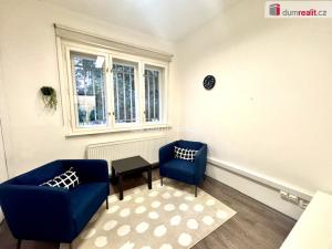 Pronájem obchodního prostoru, Praha - Vinohrady, Bělehradská, 411 m2