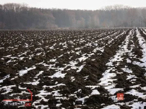 Prodej pole, Bohdašín, 54810 m2