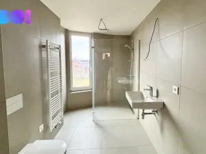 Pronájem bytu 2+kk, Ostrava, F. X. Riepla, 54 m2