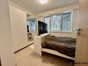 Pronájem bytu 2+kk, Brno, Merhautova, 50 m2