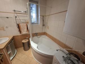 Pronájem bytu 2+kk, Brno - Zábrdovice, Merhautova, 67 m2