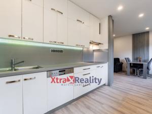 Prodej bytu 2+kk, Teplice, Křížkovského, 52 m2