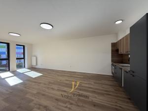 Pronájem bytu 1+kk, Olomouc, Janského, 48 m2