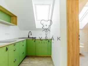 Pronájem bytu 1+kk, Drahotěšice, 35 m2