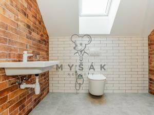 Pronájem bytu 1+kk, Drahotěšice, 35 m2