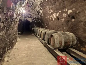 Pronájem vinného sklepa, Nový Šaldorf-Sedlešovice - Nový Šaldorf, 310 m2