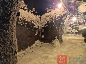 Pronájem vinného sklepa, Nový Šaldorf-Sedlešovice - Nový Šaldorf, 310 m2