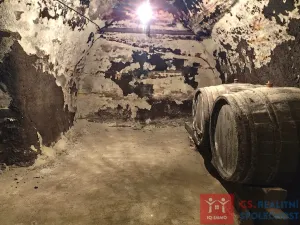 Pronájem vinného sklepa, Nový Šaldorf-Sedlešovice - Nový Šaldorf, 310 m2