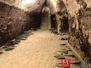 Pronájem vinného sklepa, Nový Šaldorf-Sedlešovice - Nový Šaldorf, 310 m2