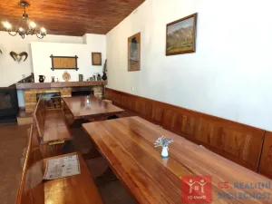 Pronájem vinného sklepa, Nový Šaldorf-Sedlešovice - Nový Šaldorf, 310 m2