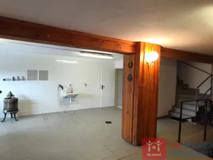 Pronájem vinného sklepa, Nový Šaldorf-Sedlešovice - Nový Šaldorf, 310 m2