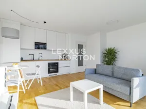 Prodej bytu 1+kk, Praha - Žižkov, Krásova, 36 m2