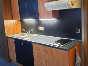 Pronájem bytu 1+kk, Olomouc, Dolní hejčínská, 42 m2