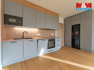 Pronájem bytu 1+kk, Brandýs nad Labem-Stará Boleslav - Brandýs nad Labem, Dřevčická, 38 m2