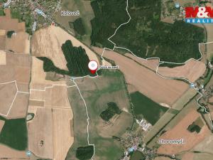 Prodej lesa, Koloveč, 13001 m2