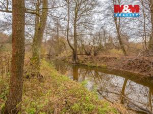 Prodej chaty, Louňovice pod Blaníkem, Pod Dubinou, 90 m2