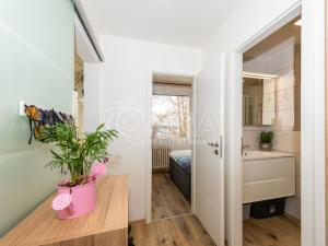 Pronájem bytu 2+kk, Trutnov - Střední Předměstí, Michnova, 38 m2