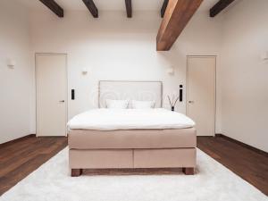 Pronájem bytu 5+kk, Praha - Nové Město, Truhlářská, 335 m2