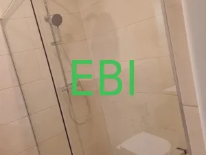 Pronájem bytu 4+1, Praha - Nové Město, Masarykovo nábřeží, 103 m2