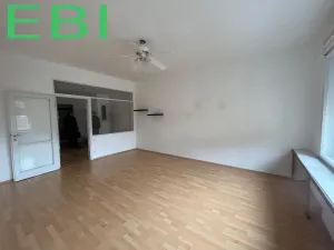 Pronájem bytu 4+1, Praha - Nové Město, Masarykovo nábřeží, 103 m2